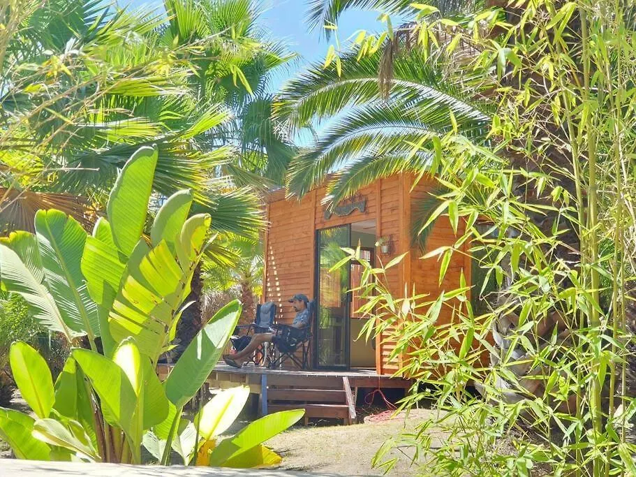 ベッド・アンド・ブレックファスト The Farmhouse B&B ステレンボッシュ